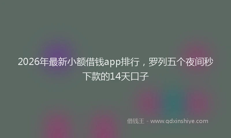 2026年最新小额借钱app排行，罗列五个夜间秒下款的14天口子