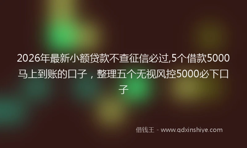 2026年最新小额贷款不查征信必过,5个借款5000马上到账的口子，整理五个无视风控5000必下口子