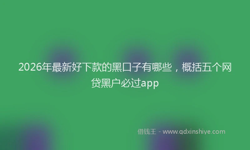 2026年最新好下款的黑口子有哪些，概括五个网贷黑户必过app