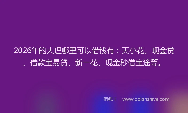 2026年的大理哪里可以借钱有：天小花、现金贷、借款宝易贷、新一花、现金秒借宝途等。