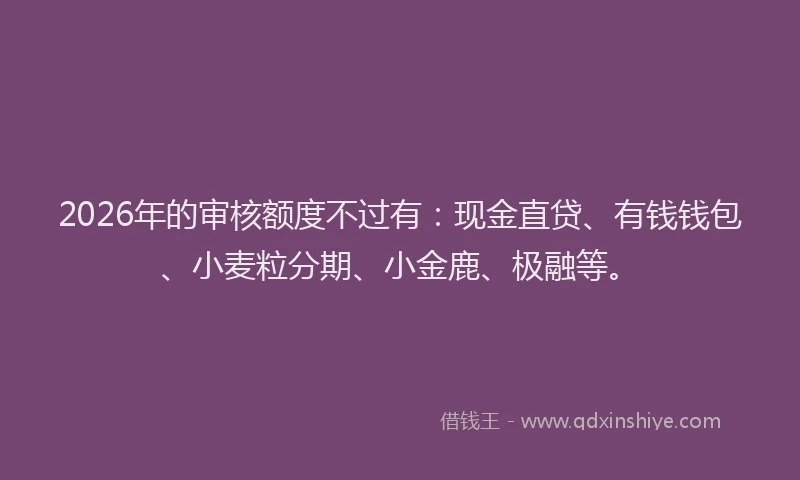 2026年的审核额度不过有：现金直贷、有钱钱包、小麦粒分期、小金鹿、极融等。