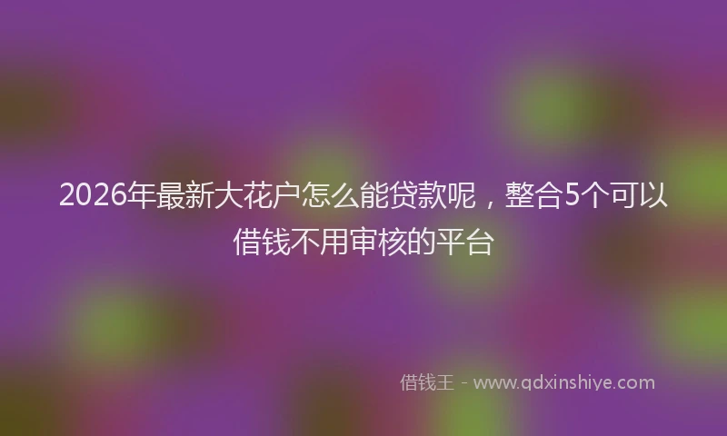 2026年最新大花户怎么能贷款呢，整合5个可以借钱不用审核的平台