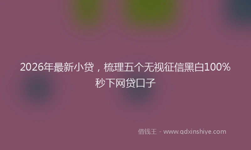 2026年最新小贷，梳理五个无视征信黑白100%秒下网贷口子