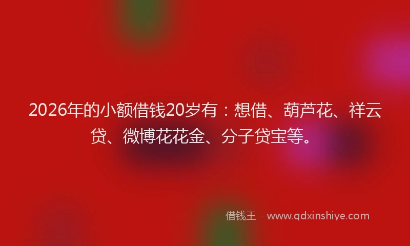 2026年的小额借钱20岁有：想借、葫芦花、祥云贷、微博花花金、分子贷宝等。