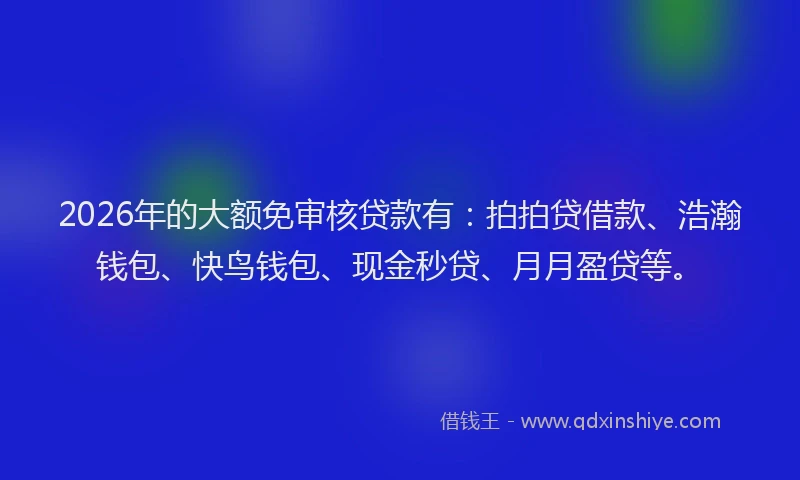 2026年的大额免审核贷款有：拍拍贷借款、浩瀚钱包、快鸟钱包、现金秒贷、月月盈贷等。
