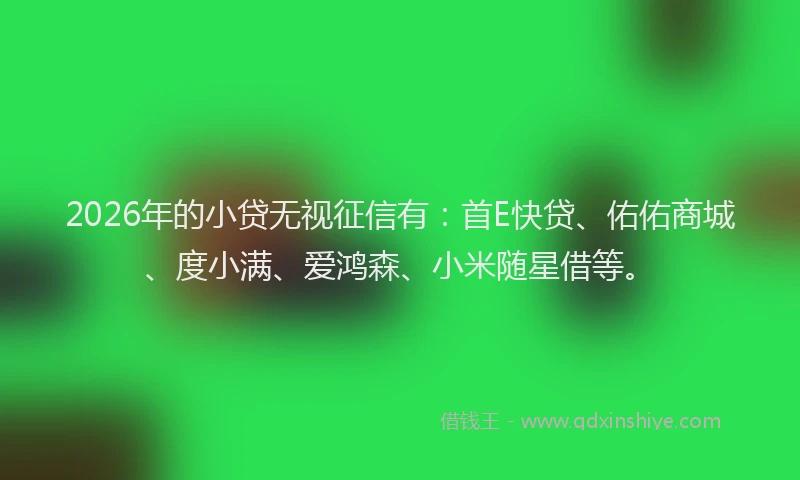 2026年的小贷无视征信有：首E快贷、佑佑商城、度小满、爱鸿森、小米随星借等。