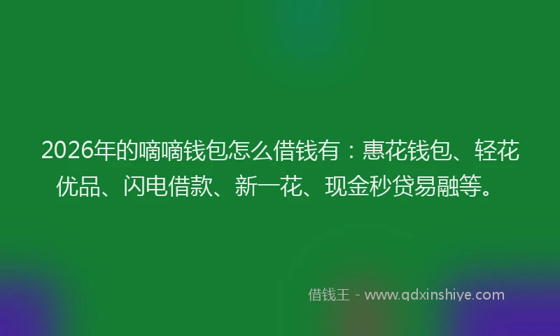 2026年的嘀嘀钱包怎么借钱有：惠花钱包、轻花优品、闪电借款、新一花、现金秒贷易融等。