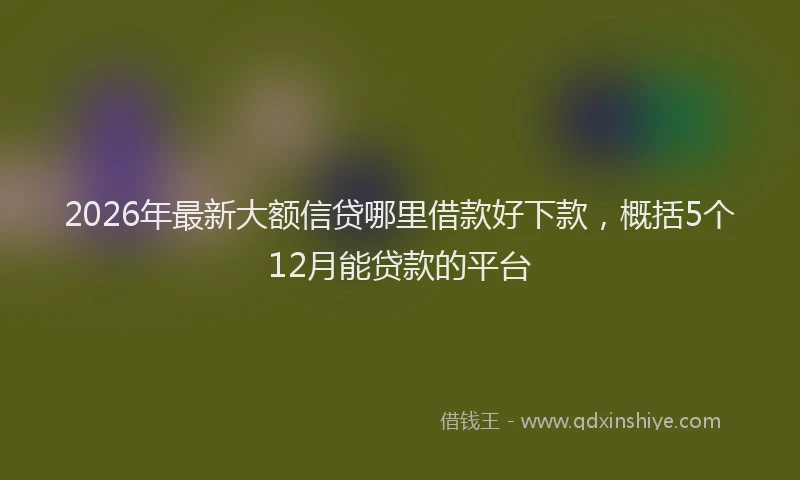 2026年最新大额信贷哪里借款好下款，概括5个12月能贷款的平台