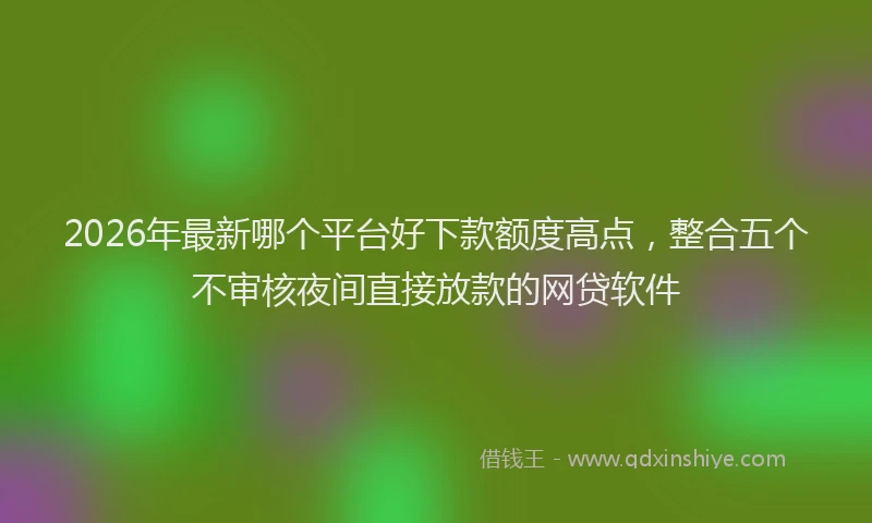 2026年最新哪个平台好下款额度高点，整合五个不审核夜间直接放款的网贷软件