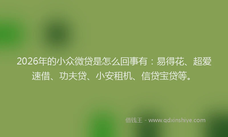 2026年的小众微贷是怎么回事有：易得花、超爱速借、功夫贷、小安租机、信贷宝贷等。