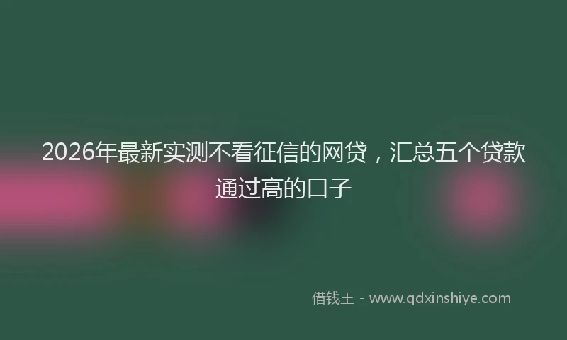 2026年最新实测不看征信的网贷，汇总五个贷款通过高的口子