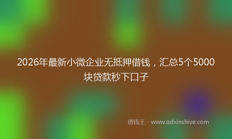 2026年最新小微企业无抵押借钱，汇总5个5000块贷款秒下口子