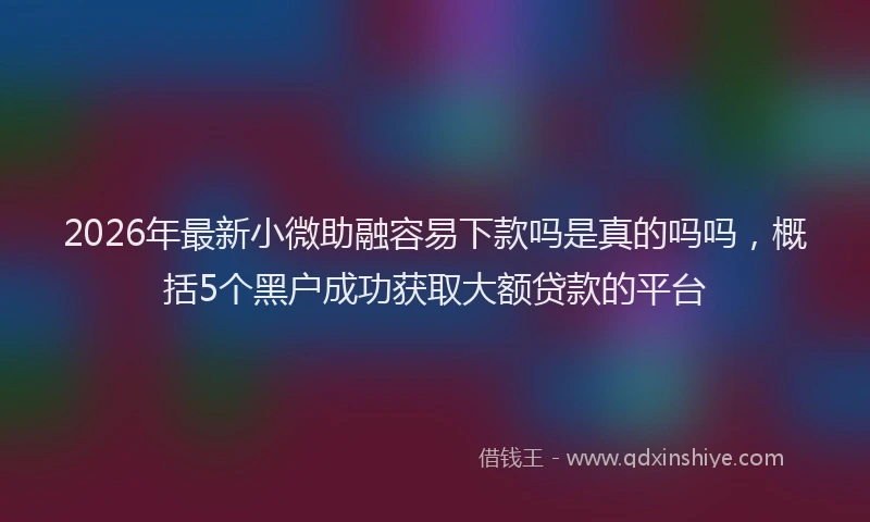 2026年最新小微助融容易下款吗是真的吗吗，概括5个黑户成功获取大额贷款的平台