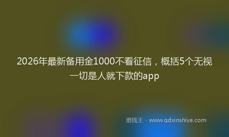 2026年最新备用金1000不看征信，概括5个无视一切是人就下款的app