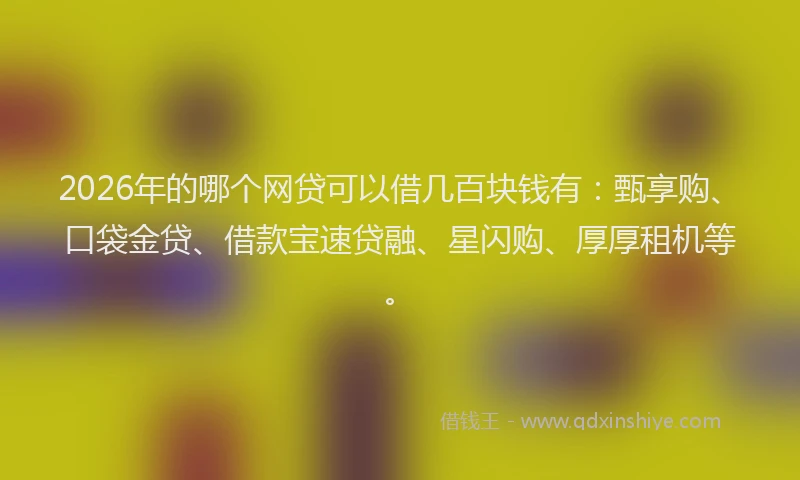 2026年的哪个网贷可以借几百块钱有：甄享购、口袋金贷、借款宝速贷融、星闪购、厚厚租机等。