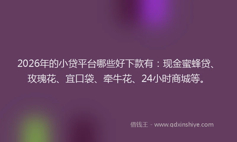 2026年的小贷平台哪些好下款有：现金蜜蜂贷、玫瑰花、宜口袋、牵牛花、24小时商城等。
