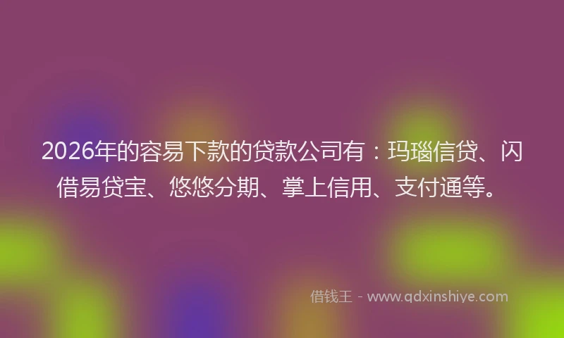 2026年的容易下款的贷款公司有：玛瑙信贷、闪借易贷宝、悠悠分期、掌上信用、支付通等。