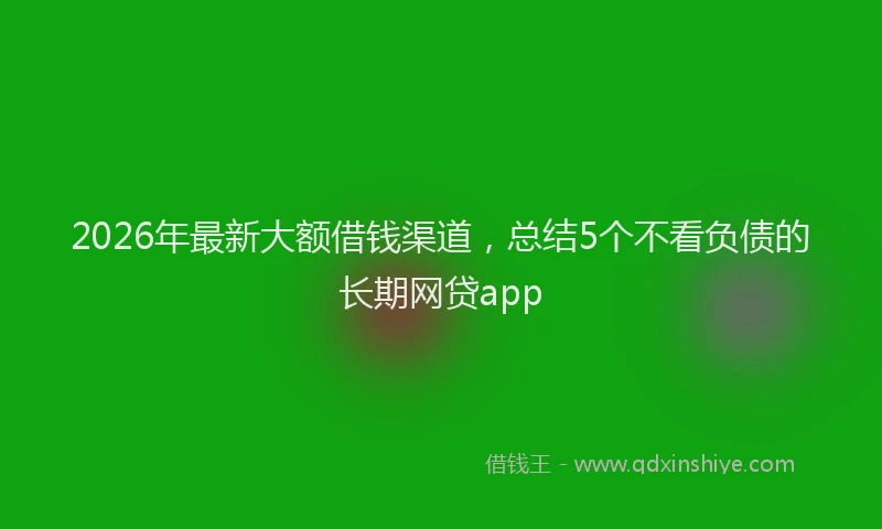 2026年最新大额借钱渠道，总结5个不看负债的长期网贷app
