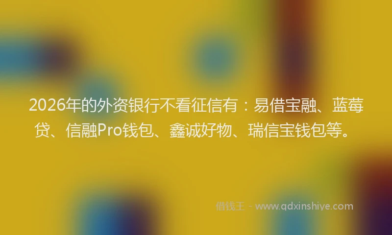 2026年的外资银行不看征信有：易借宝融、蓝莓贷、信融Pro钱包、鑫诚好物、瑞信宝钱包等。