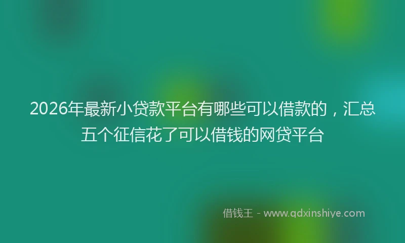 2026年最新小贷款平台有哪些可以借款的，汇总五个征信花了可以借钱的网贷平台