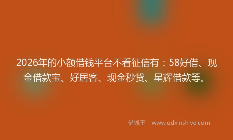 2026年的小额借钱平台不看征信有：58好借、现金借款宝、好居客、现金秒贷、星辉借款等。