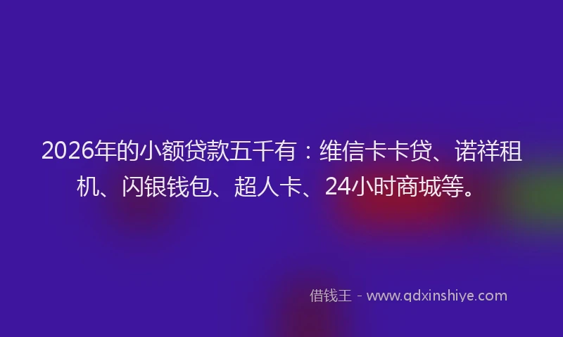 2026年的小额贷款五千有：维信卡卡贷、诺祥租机、闪银钱包、超人卡、24小时商城等。