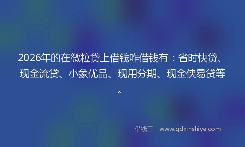 2026年的在微粒贷上借钱咋借钱有:省时快贷、现金流贷、小象优品、现用分期、现金侠易贷等。