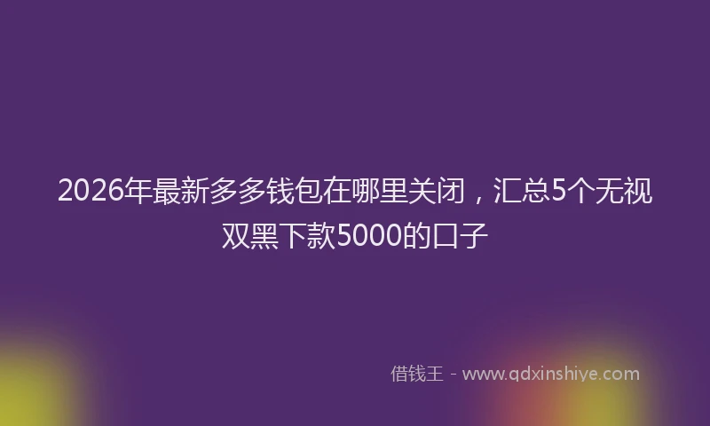 2026年最新多多钱包在哪里关闭，汇总5个无视双黑下款5000的口子