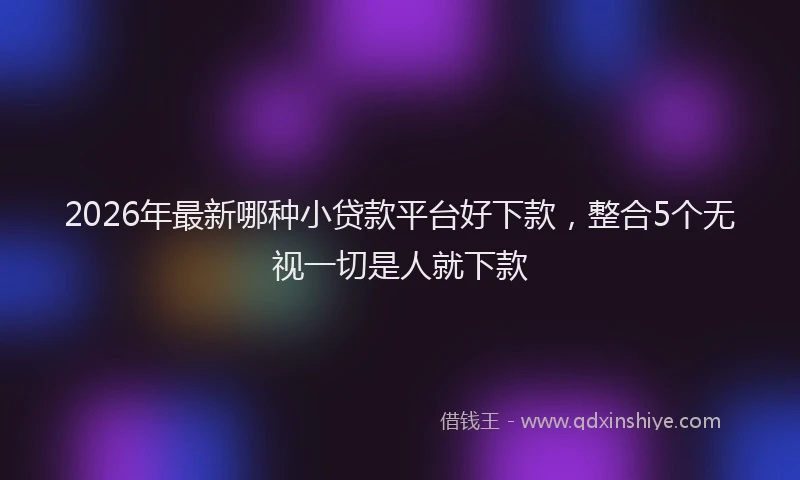 2026年最新哪种小贷款平台好下款,整合5个无视一切是人就下款