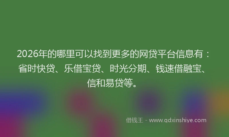 2026年的哪里可以找到更多的网贷平台信息有：省时快贷、乐借宝贷、时光分期、钱速借融宝、信和易贷等。