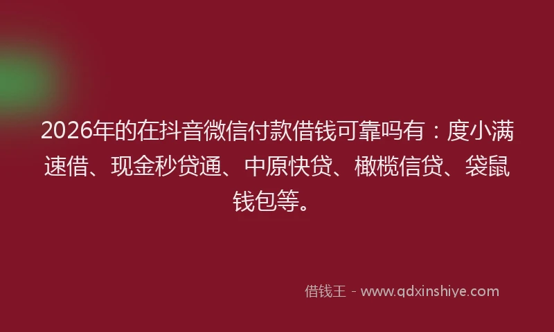 2026年的在抖音微信付款借钱可靠吗有:度小满速借、现金秒贷通、中原快贷、橄榄信贷、袋鼠钱包等。
