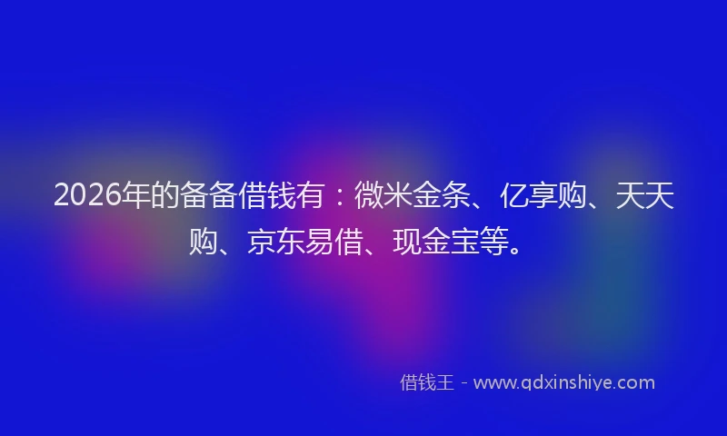 2026年的备备借钱有：微米金条、亿享购、天天购、京东易借、现金宝等。