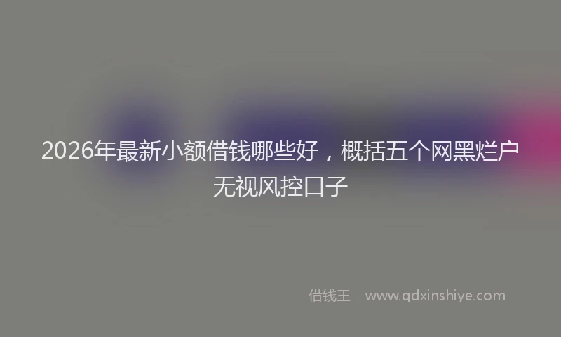 2026年最新小额借钱哪些好，概括五个网黑烂户无视风控口子