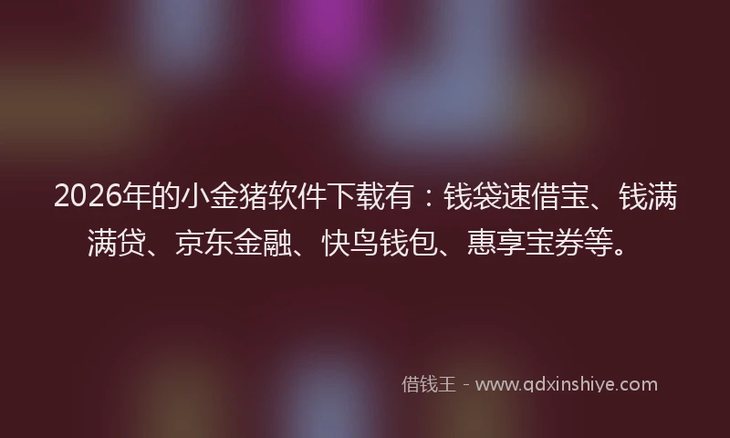 2026年的小金猪软件下载有：钱袋速借宝、钱满满贷、京东金融、快鸟钱包、惠享宝券等。