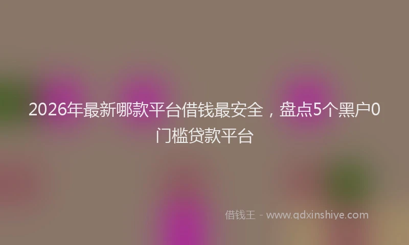2026年最新哪款平台借钱最安全，盘点5个黑户0门槛贷款平台
