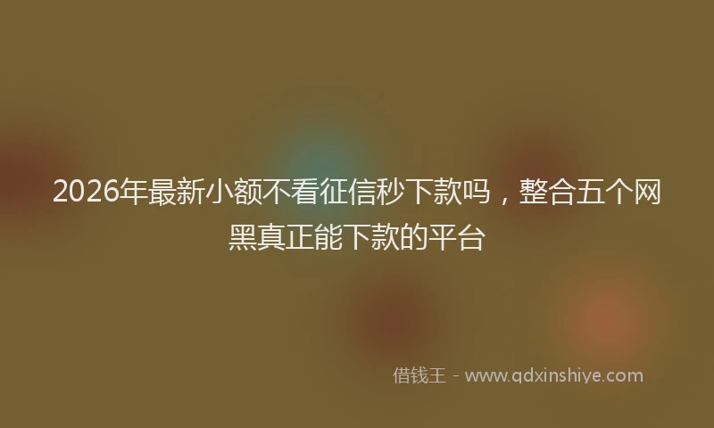2026年最新小额不看征信秒下款吗，整合五个网黑真正能下款的平台