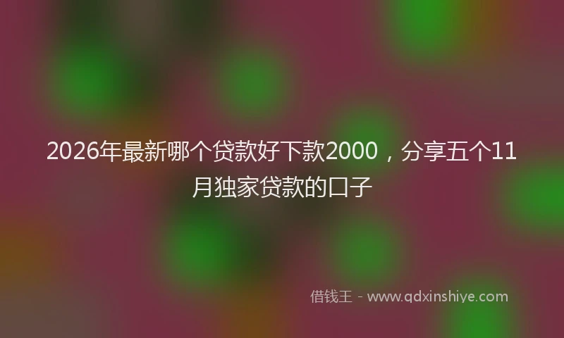2026年最新哪个贷款好下款2000,分享五个11月独家贷款的口子