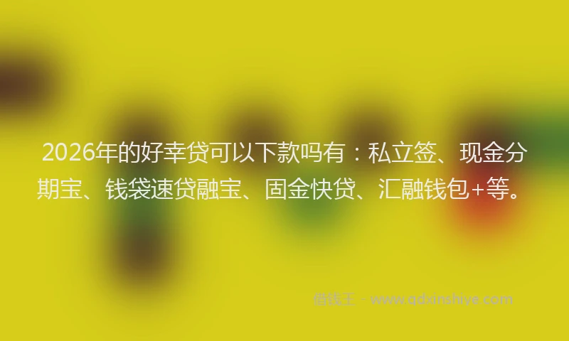 2026年的好幸贷可以下款吗有：私立签、现金分期宝、钱袋速贷融宝、固金快贷、汇融钱包+等。