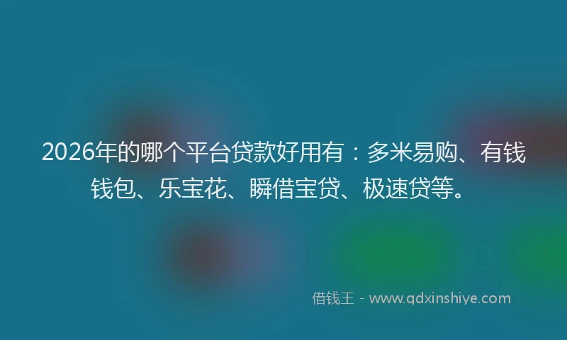 2026年的哪个平台贷款好用有:多米易购、有钱钱包、乐宝花、瞬借宝贷、极速贷等。