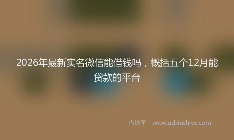 2026年最新实名微信能借钱吗，概括五个12月能贷款的平台