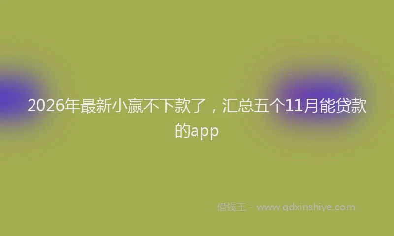 2026年最新小赢不下款了，汇总五个11月能贷款的app