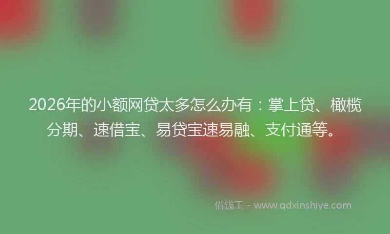 2026年的小额网贷太多怎么办有：掌上贷、橄榄分期、速借宝、易贷宝速易融、支付通等。