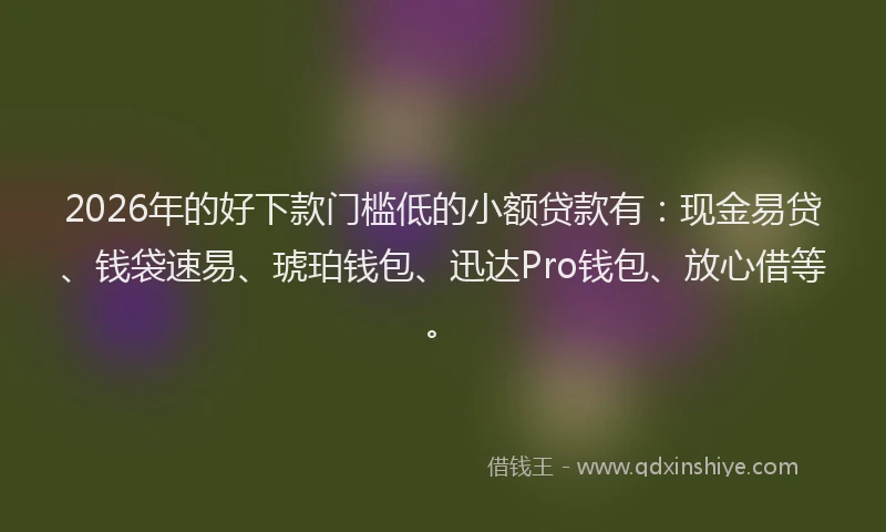 2026年的好下款门槛低的小额贷款有：现金易贷、钱袋速易、琥珀钱包、迅达Pro钱包、放心借等。