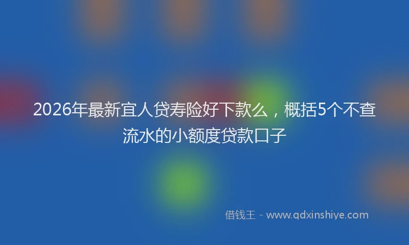 2026年最新宜人贷寿险好下款么，概括5个不查流水的小额度贷款口子