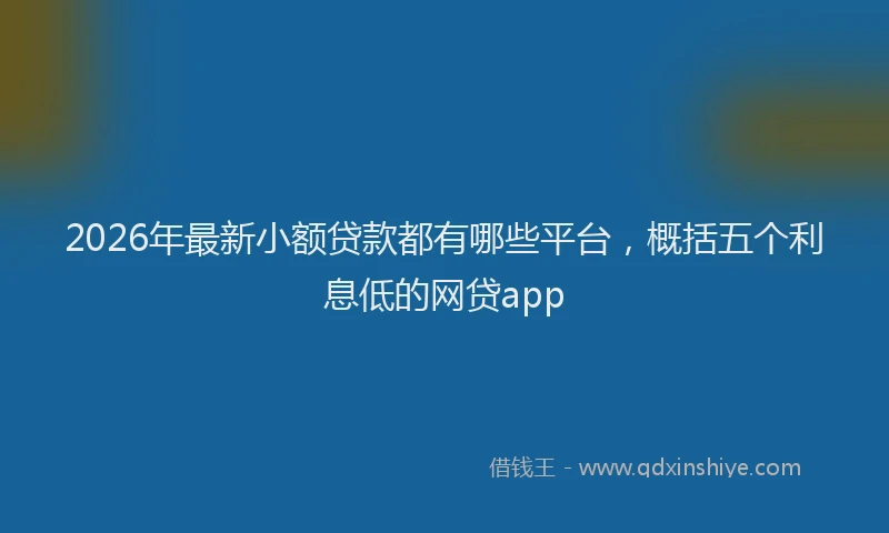 2026年最新小额贷款都有哪些平台，概括五个利息低的网贷app