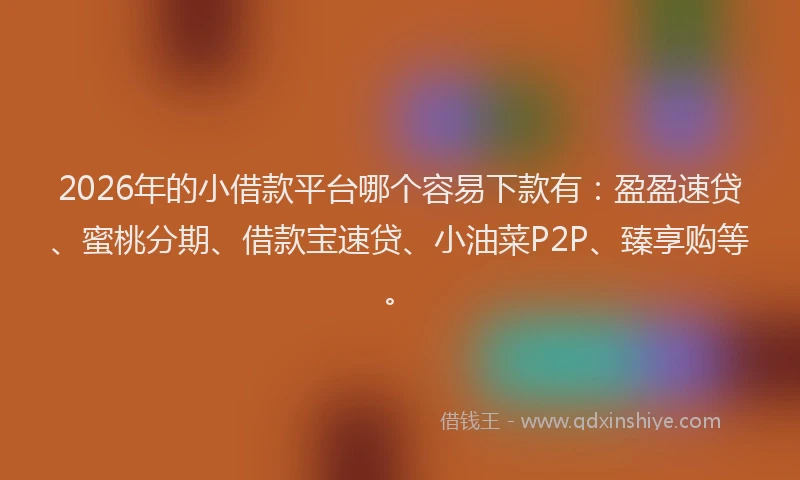 2026年的小借款平台哪个容易下款有：盈盈速贷、蜜桃分期、借款宝速贷、小油菜P2P、臻享购等。