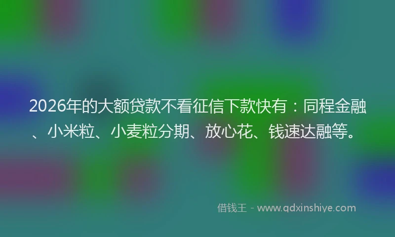 2026年的大额贷款不看征信下款快有：同程金融、小米粒、小麦粒分期、放心花、钱速达融等。