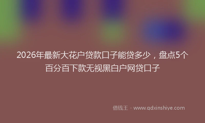2026年最新大花户贷款口子能贷多少，盘点5个百分百下款无视黑白户网贷口子