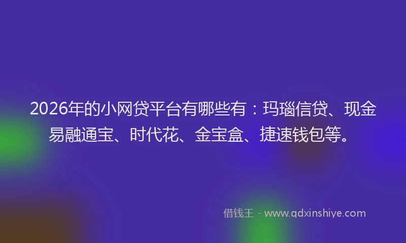 2026年的小网贷平台有哪些有：玛瑙信贷、现金易融通宝、时代花、金宝盒、捷速钱包等。