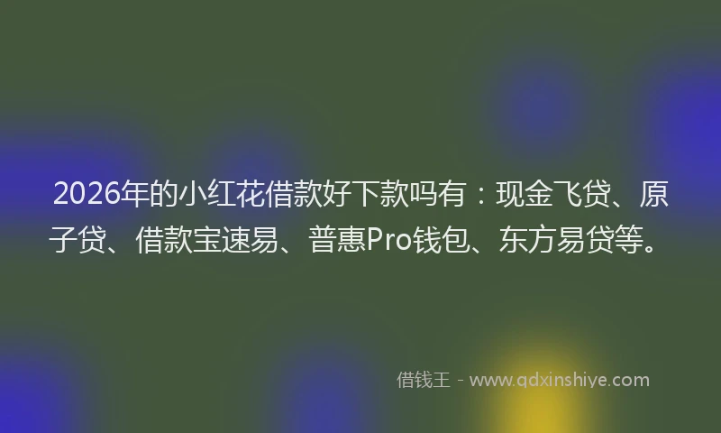 2026年的小红花借款好下款吗有：现金飞贷、原子贷、借款宝速易、普惠Pro钱包、东方易贷等。